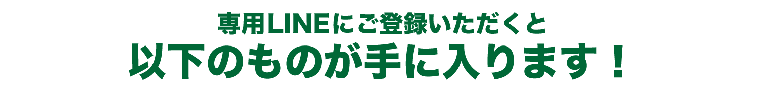 以下のものが手に入ります