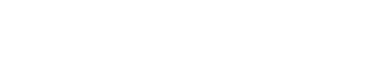 孫正義なら成功するかもしれない